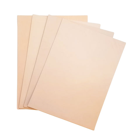 Tooling Leather Variety 4-Pack