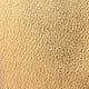 Metallic Leather, 9" x 3" Trim