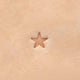 O53 - Star Stamp