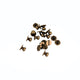 Button Studs