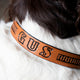 Dog Collar Kit